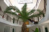 Thermal Hotel Pam 